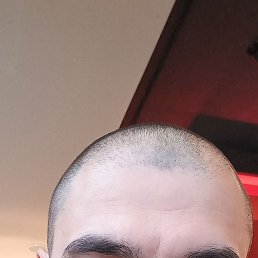 ������, ������, 36 ���