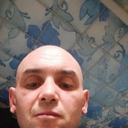 , 42, 