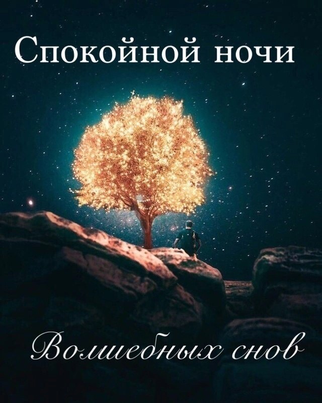   ,    . - 13  2023  20:14