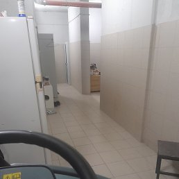 ��������, ������, 37 ���