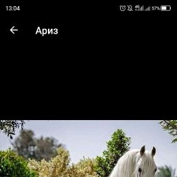 ����, ���������, 40 ���