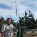 ���� ������� ������, ������ ���, 54 ���� - ��������� 22 ���� 2023