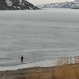 �, ������, 37 ���