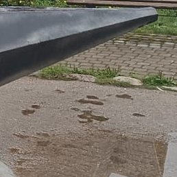 ,  , 39 