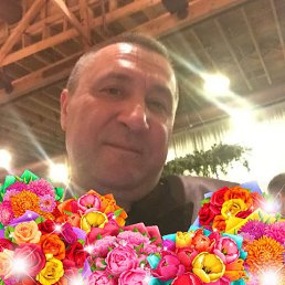 nikolay, 57, Seattle