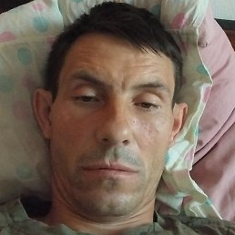 �����, ������ ��������, 46 ���