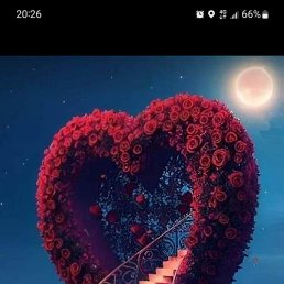 ���� �������, ������, 39 ��� - ��������� 18 ���� 2023