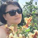 ���� �����, ������, 49 ��� - ��������� 6 ������� 2023 � ������ ���� ����������