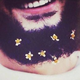 �����, �����, 26 ���