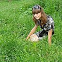 ���� Nelli, ����� - ��������� 22 ����� 2023 � ������ ���� ����������