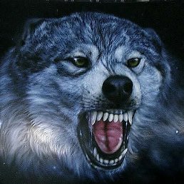 ������, ������, 37 ���