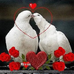 ������, ������, 58 ���