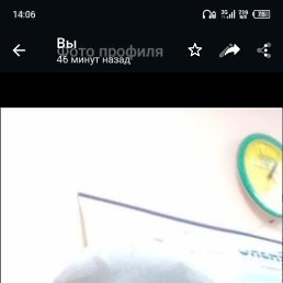 �����, �������, 42 ����