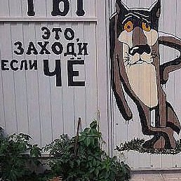 ������, ������, 36 ���