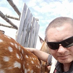 �����, �����, 49 ���