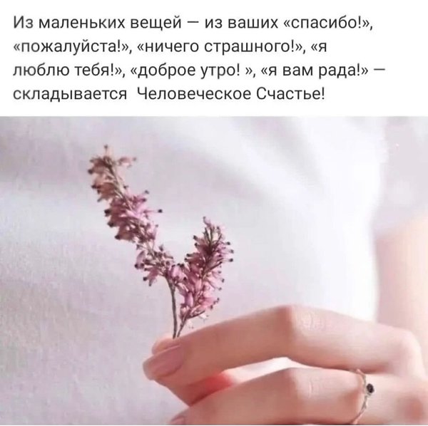 ������������� ���� - 13 ������� 2023 � 10:21