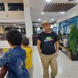 ����, �����-���������, 38 ���