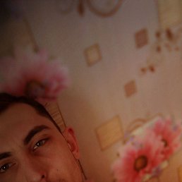 ������, ���������, 24 ����