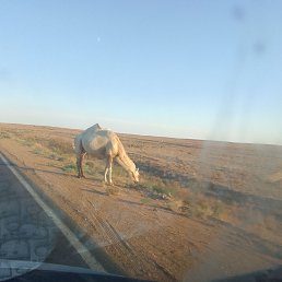  Sashka, , 35  -  12  2023