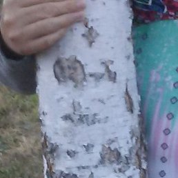 �������, ���������, 55 ���