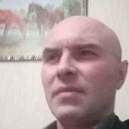 �������, ������, 50 ���