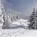 ���� �����, �����������, 60 ��� - ��������� 29 ���� 2023 � ������ ���� ����������