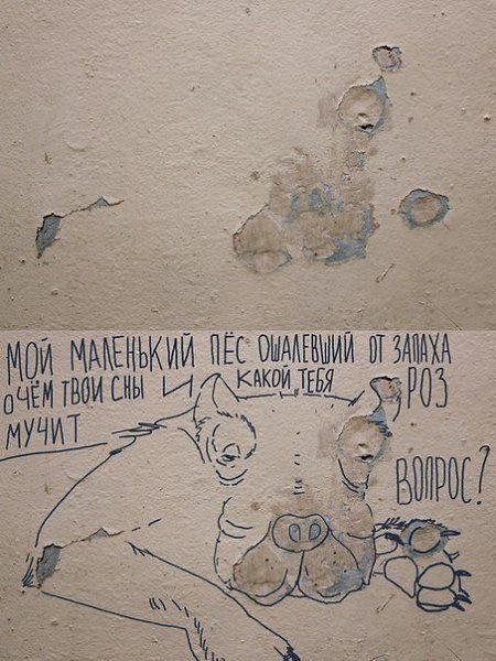Эти стены интереснее многих моих знакомых. - 6