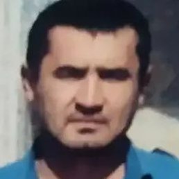 �����, �������, 41 ���