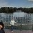 ���� Natali, ����-���, 48 ��� - ��������� 23 �������� 2023