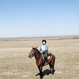 ����, ���������, 38 ���