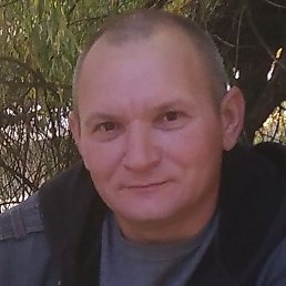 ������, ����������� ����, 43 ����