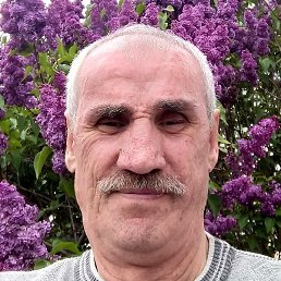 ���������, ������ ��������, 68 ���