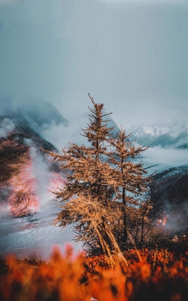    - 21  2023  06:53