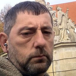 ������, ����������, 44 ����