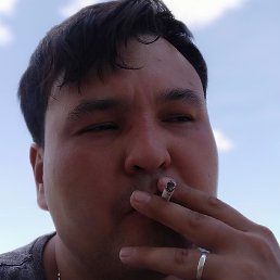 ������, ������, 33 ����