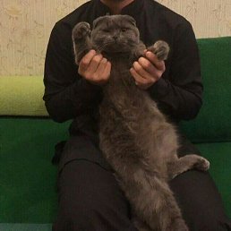 �������������, ������, 20 ���