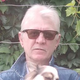 ��������, ������ ������, 66 ���