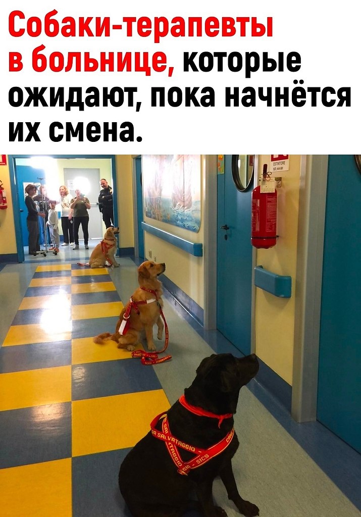  -    ,    