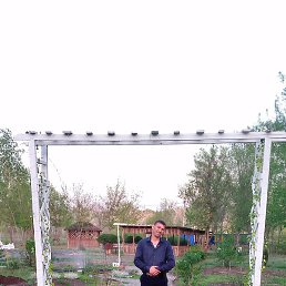 �������, ��������, 43 ����