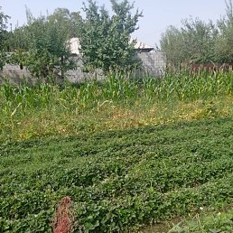 ���� ������, ������, 37 ��� - ��������� 13 ������� 2023