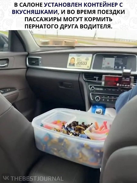 Это же навигатор Одина.Сдаётся мне, что и пассажиры такими вкусняшками угощаются - 3