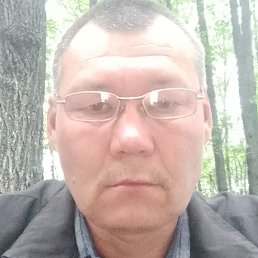 �����, �������, 46 ���