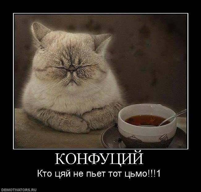 Mr. - 18  2023  05:50