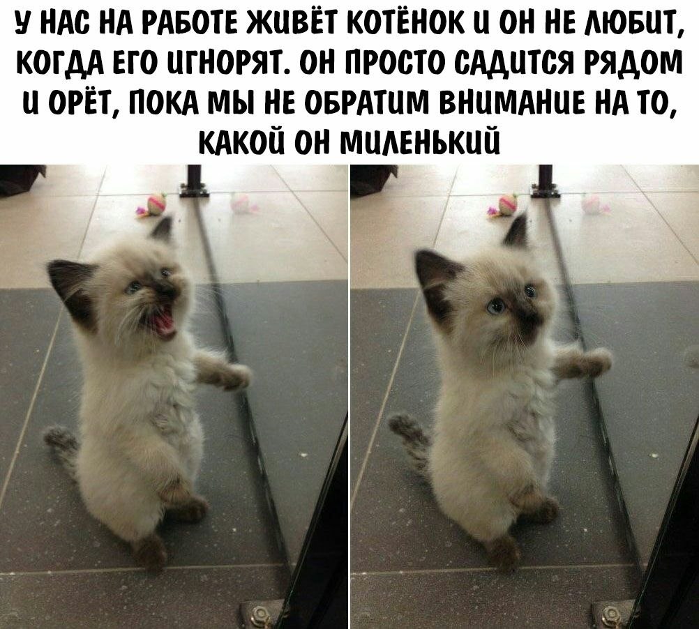 ��� �������� �������� - 5 ������� 2023 � 17:19