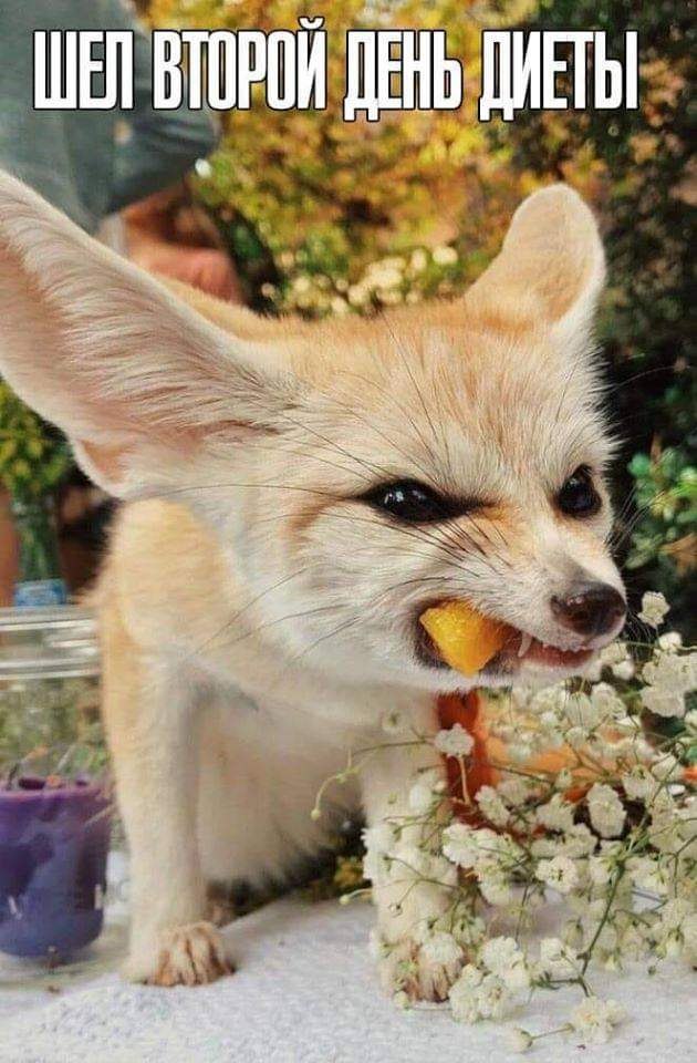 :)