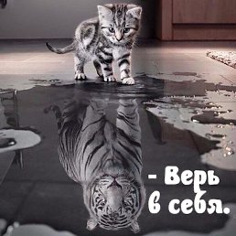 �������, ���������