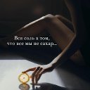  , , 38  -  2  2023    .......
