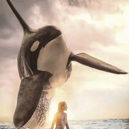 ���� ����, ����������, 41 ��� - ��������� 31 ��� 2023