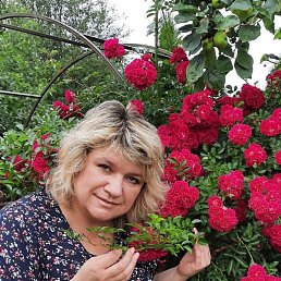 �����, �����-���������, 52 ����