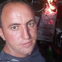 �������, ������, 38 ���